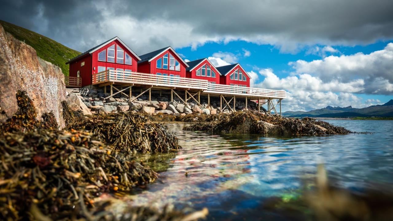 Lofoten Rorbu Hytte *